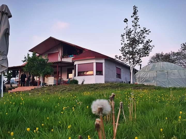 Rural Hοuse Apartman Kastritsa Kültér fotó